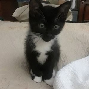 Meet your Posher, Madelyn